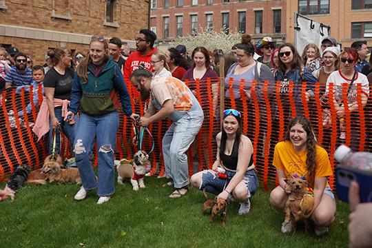 people holding dogs, preparing for dog races